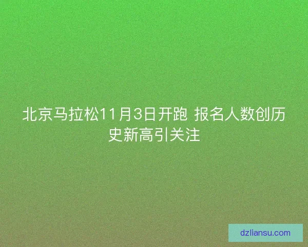 北京马拉松11月3日开跑 报名人数创历史新高引关注
